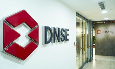 Trước thềm IPO, nhóm cổ đông nào đang sở hữu Chứng khoán DNSE?
