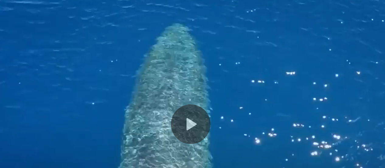 Sẽ ra sao nếu con người bị cá voi xanh nuốt chửng?
