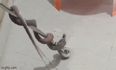Video: Hốt hoảng bỏ chạy khi bị rắn lao vào người trong lúc đi vệ sinh