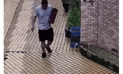Video: Khoảnh khắc rắn hổ mang phi thân đớp người đàn ông đi bộ