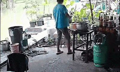 Video: Đang nấu cơm, người phụ nữ bắt gặp loài vật đáng sợ