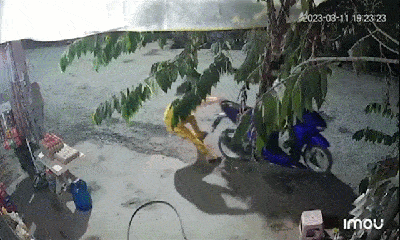 Video: Người phụ nữ giằng co quyết liệt khiến hai tên cướp phải bỏ xe chạy thoát thân
