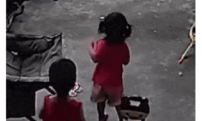 Video: Chạm mặt rắn hổ mang, bé gái sợ hãi bật khóc