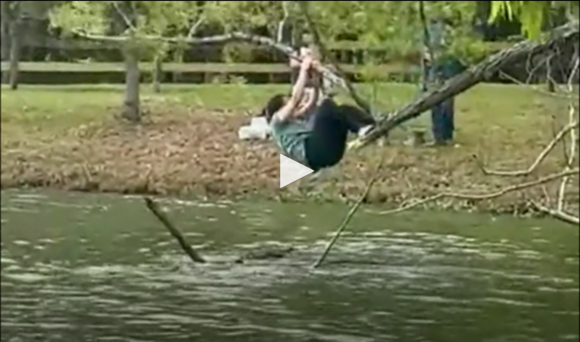 Video : Người phụ nữ liều lĩnh trèo ra cành yếu ớt, bất chấp nguy hiểm